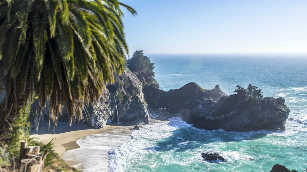 a view of the sea, palm trees, and large rocks at Big Sur